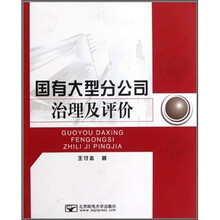 国有大型分公司治理及评价