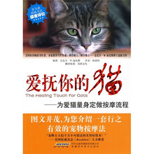 爱抚你的猫：为爱猫量身定做按摩流程