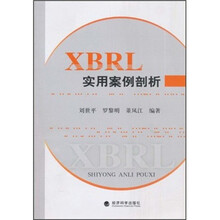 XBRL实用案例剖析