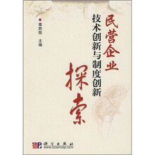 民营企业技术创新与制度创新探索