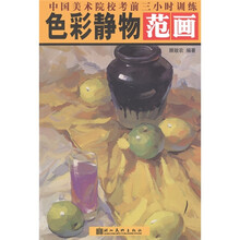 中国美术院校考前三小时训练:色彩静物范画