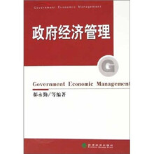 政府经济管理