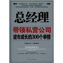 总经理带领私营公司逆市成长的300个举措