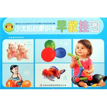 小太阳启蒙识字早教挂图