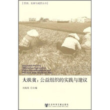 大扶贫：公益组织的实践与建议