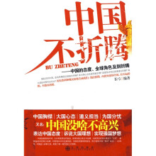 中国不折腾:中国的态度、全球角色及别折腾