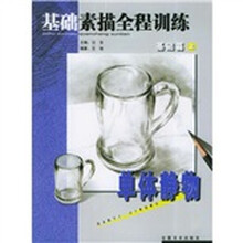 基础素描全程训练（基础篇）（上）：单体静物