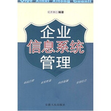 企业信息系统管理