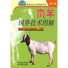 肉羊饲养技术图解