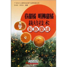 春甜橘 明柳甜橘栽培技术彩色图说