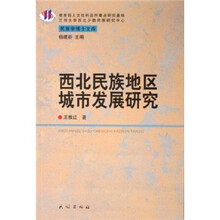 西北民族地区城市发展研究