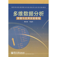 高等学校信息管理与信息系统专业系列实验教材：多维数据分析（原理与应用实验教程）