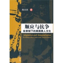 顺应与抗争：奴录制下的美国黑人文化