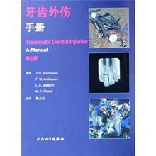 牙齿外伤手册（翻译版）