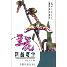 兰花新品赏评