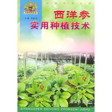 西洋参实用种植技术