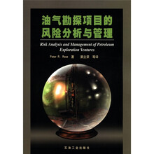油气勘探项目的风险分析与管理