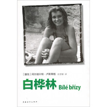 白桦林