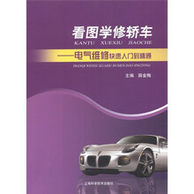 看图学修轿车：电气维修快速入门到精通