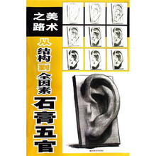 美术之路从结构到全因素：石膏五官