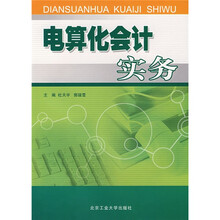 电算化会计实务