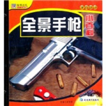 全景手枪小百科