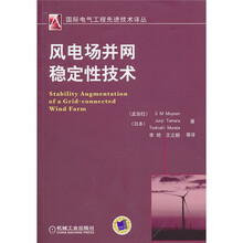 风电场并网稳定性技术