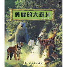 美丽的大森林