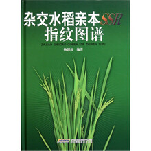 杂交水稻亲本SSR指纹图谱