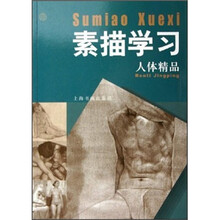 素描学习：人体精品