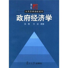 政府经济学