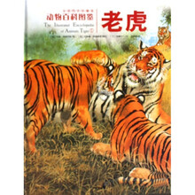 动物百科图鉴：老虎