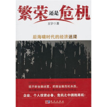 繁荣还是危机:后海啸时代的经济迷局