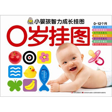 小婴孩智力成长挂图：0岁挂图