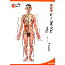 便携式真人经络穴位挂图（一套四张）（赠刮痧板1个）