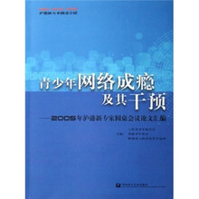 青少年网络成瘾及其干预：2005年沪港新专家圆桌会议论文汇编