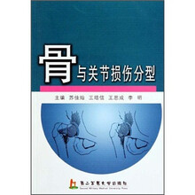 骨与关节损伤分型