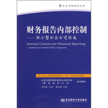 财务报告内部控制:较小型公众公司指南