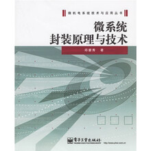 微系统封装原理与技术