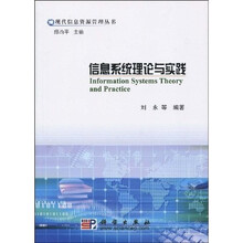 信息系统理论与实践