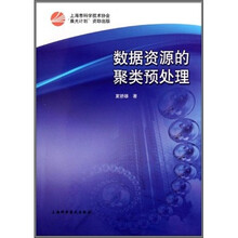 数据资源的聚类预处理