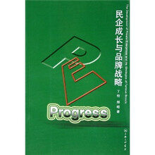 民企成长与品牌战略