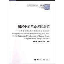 崛起中的革命老区新镇：江西省宁都县赖村镇经济社会发展调研/中国国情调研丛书