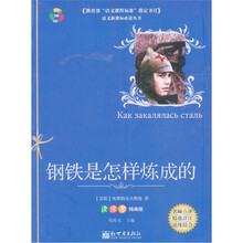 钢铁是怎样炼成的