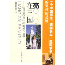 亮在三国:哈佛男孩何吟亮的成长故事