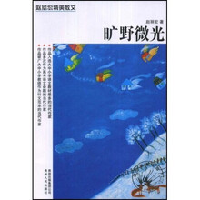 旷野微光