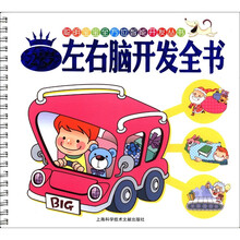 聪明宝宝丛书：2岁左右脑开发全书