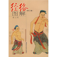 经络图解