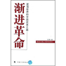 渐进革命（震荡世界的中国改革之路）