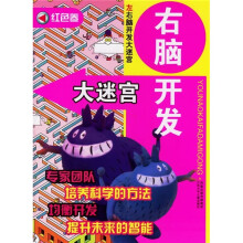 左右脑开发大迷宫:右脑开发大迷宫(红色卷)
